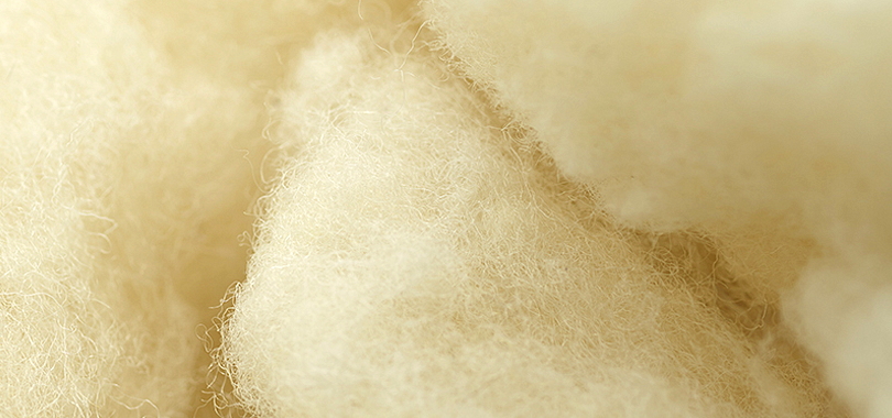 Wool vs. Other Duvet Options: How Does It Compare?