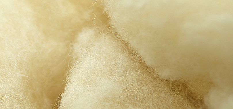 3. Natural vs Synthetic Materials: The Environmental Impact